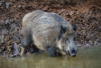 Agricoltura: pubblicati due bandi a sportello per 3,5 mln di euro