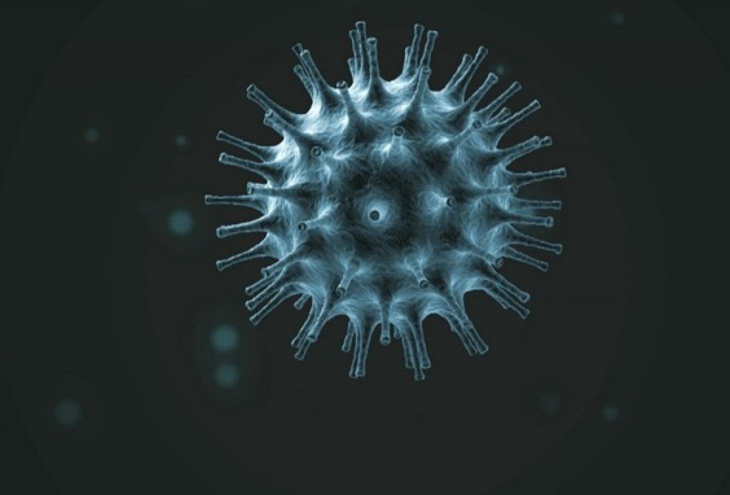 coronavirus