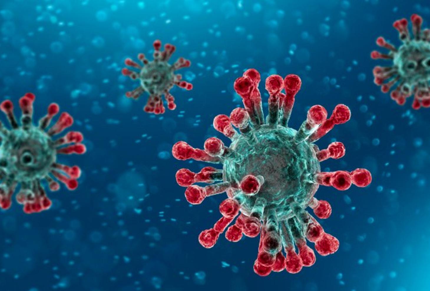 coronavirus