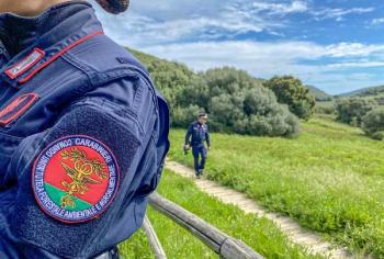 Utilizzo abusivo dell’acqua: Regione sottoscrive accordo operativo con Carabinieri Forestale