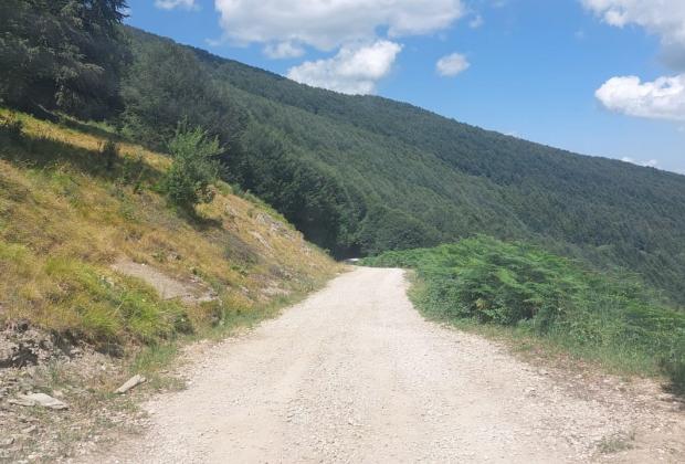 Agricoltura: Imprudente, realizzati 300km e 13 mln di lavori su viabilità forestale 